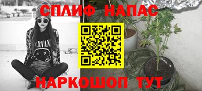 шишки Конаково