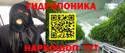 шишки Конаково