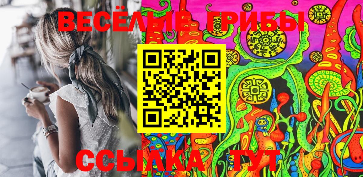 Галлюциногенные грибы мухоморы  Вход с VPN  Камышлов 