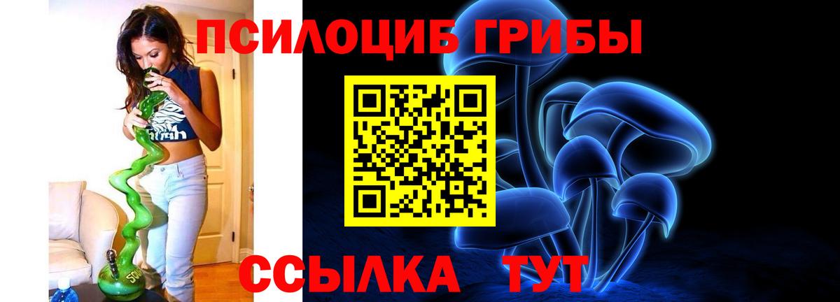Галлюциногенные грибы MAGIC MUSHROOMS Камышлов